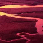 Er det sikkert at svare på telefonnummer 76259741?