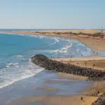 Hjælp til Engelsk Sanger i krydsord