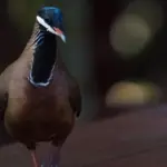 Hvem står bag telefonnummer 27 79 18 30?