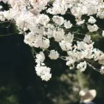 Hvordan er vejret i London i april?