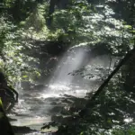 Hvordan er vejret i London i januar?