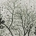 Hvordan er vejret i Manchester i november måned?