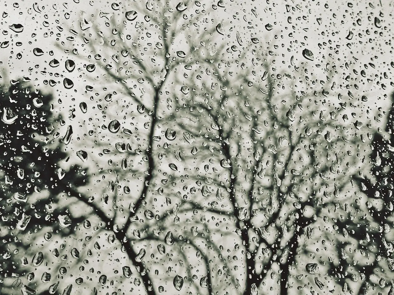 Hvordan er vejret i Manchester i november måned?