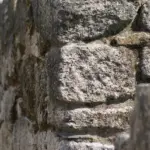 Krydsord Synonymer til Fidel