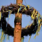 Medvirkende i Catch Me If You Can