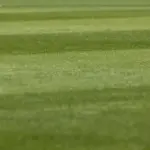 Premier League runde 16: drama, dobbelte målscorere og sene selvmål – fodboldengland.dk samler det hele